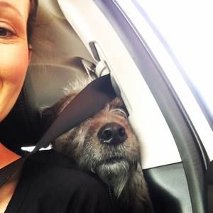 Meet your Posher, Karen